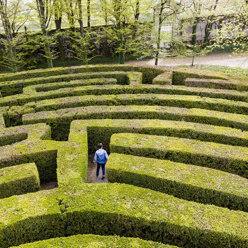 A boy in a maze of green hedges