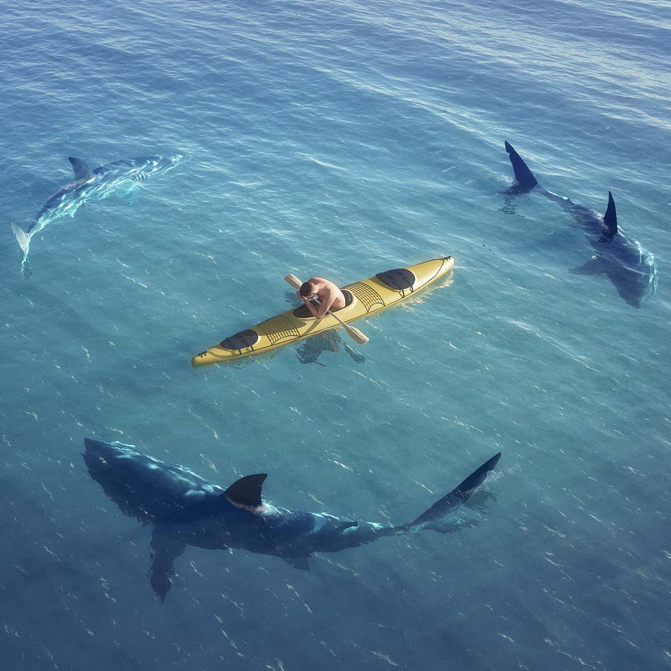 Man in kayak surrounded by sharks